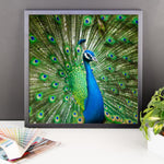 Green Peacock Framed Photo Poster Wall Art Decoration Decor For Bedroom Living Room