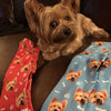 Custom Dog Socks, Personalized Pet Photo Socks, Customized Cute Dog Face Socks, Dog Lover Gift, Funny Dog Socks, Pet Socks, Dog Mom Gift
