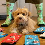 Custom Dog Socks, Personalized Pet Photo Socks, Customized Cute Dog Face Socks, Dog Lover Gift, Funny Dog Socks, Pet Socks, Dog Mom Gift