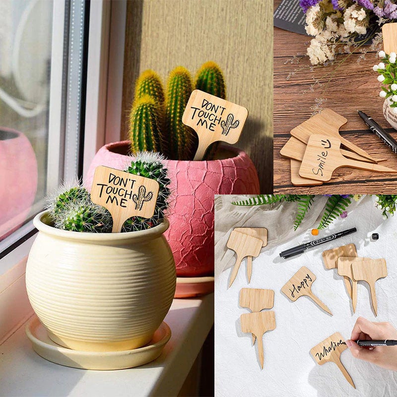 succulent plant labels 20 pieces Set, Plant Markers, Plant Label, Garden Stakes, Herb Marker, – LightningStore