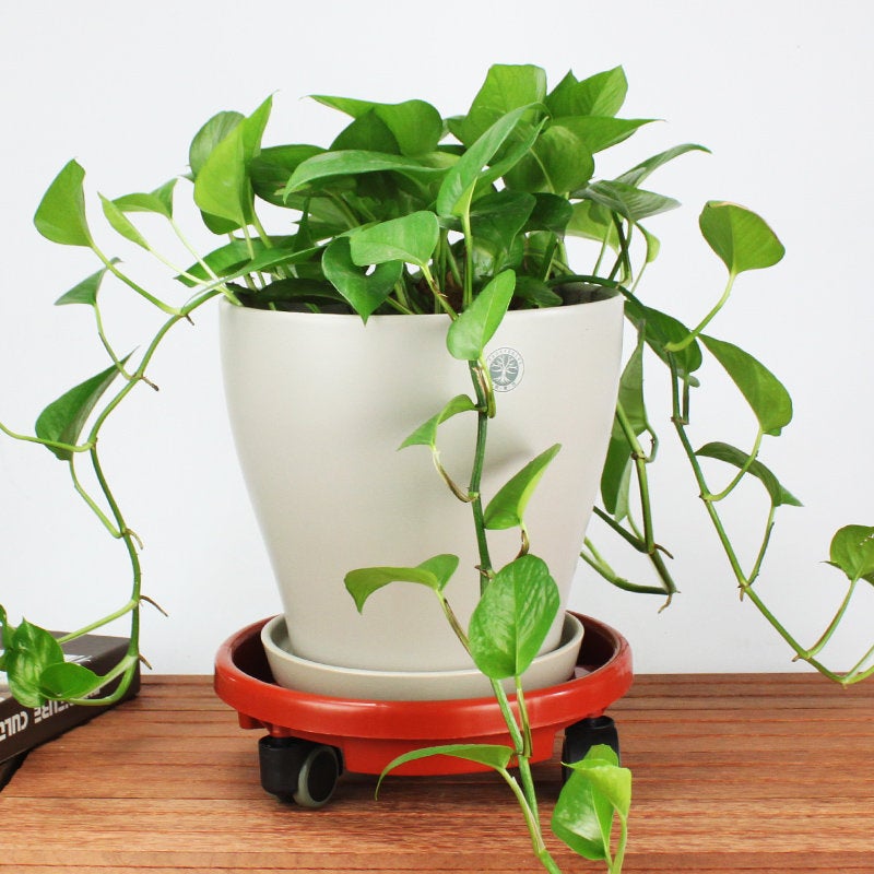 plant pot water catcher Drainage Trays With Wheel - Succulent Planter Drip Tray