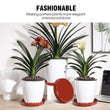 10 Drainage Trays - Succulent Planter Drip Tray- Drain Dish- Planter Pot Water Catcher- Drainage Plate- Minimalist Simple Plant Saucer