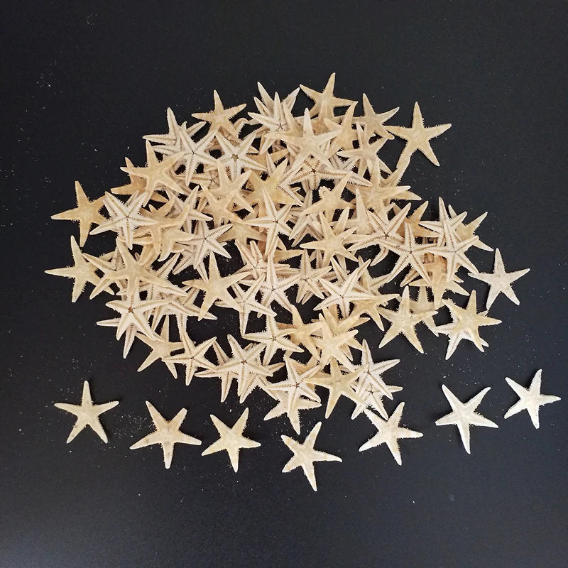 Starfish for Decoration Decor, Tiny Small Starfish, Seashells, Shells, Beach Decor, Craft Shells, Craft Starfish, Home Living Room Decor