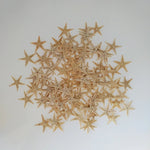Starfish for Decoration Decor, Tiny Small Starfish, Seashells, Shells, Beach Decor, Craft Shells, Craft Starfish, Home Living Room Decor