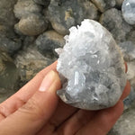 Celestite Cluster - Natural Celestite Crystal - Celestite Geode - Rough Blue Celestite - Raw Unpolished Celestite Point - Healing Crystal