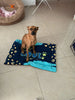 Personalized Rectangle Dog Bed, Custom Dog Bed, Pet Furniture, Modern Dog Bed with Your Picture, Small Dog beds, Dog Lover Gift, Dog Mat