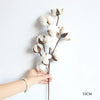 Cotton Flower, Dried Cotton Stems,  Farmhouse Artificial, Natural Cotton Balls, Dried Flower Arrangements, Home Decoration, Cotton Branch