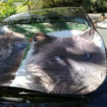 Protector solar personalizado para coche - Cubierta de parabrisas personalizada - Personalizable con tu foto, logo, imagen, texto - Regalo para amantes de los coches