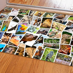 Custom Photo Rug - Personalized Photo Doormat - Toilet Mat - Welcome Mat - Floor Mat - Gepersonaliseerde Deurmat Met Foto - Bathroom Rug