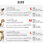 Personalized Dog Collar and Leash Set, Custom Dog Collar with Name Plate, Engraved Dog Collar, Leather Dog Collar, Small Medium Large Dogs