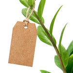 300 Large Kraft Tags - Shipping Tags Supplies Paper Goods Merchandise Tags Bulk Discount Product Label - Blank Jewelry Gift Tags Rustic