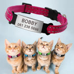 Custom Cat Collar, Personalized Pet Collars for Kittens, Boy Cat Collar, Girl Cat Collar,  Collar with Name, Breakaway Adjustable Strap