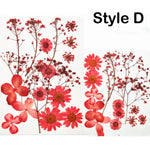 ดอกไม้แห้ง 1 แพ็ค, ใส่เรซินกดทับ, แม่พิมพ์เรซินคริสตัล DIY, พืชธรรมชาติ, อุปกรณ์ทำเครื่องประดับ, งานฝีมือทำมือ