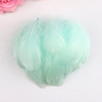 100 pcs Goose Feathers - Blue Feathers, Orange Feathers, Pink Feathers, White Feathers, Grey Feathers, Green Feathers. Craft Hat Making Art