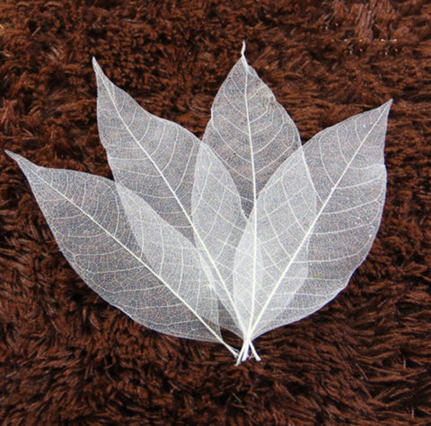 100 Pcs Skeleton Leaves - White Natural Flower Making Floral Scrapbook Craft Wedding Card - Paper Rubber Leaves - Craft Leaves