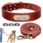 Personalized Leather Dog Collar, Engraved Dog Collar, Custom Dog Collar with Name Plate, Leather Dog Collar, Small Medium Large Dogs