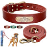 Personalized Leather Dog Collar, Engraved Dog Collar, Custom Dog Collar with Name Plate, Leather Dog Collar, Small Medium Large Dogs