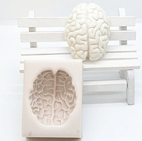 Anatomical Brain Mold Silicone Mould - Resin Polymer Clay Fondant Chocolate Candy - Neurology Mold - Candle Soap Mold Wax Mold Plaster