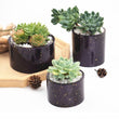 Succulent Flower Pot Silicone Mold, Flower Pot Resin Mold, Planter Mold, Round Pot Mold, Cylindrical Resin Mold, DIY Home Decoration