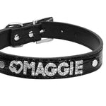 Custom Cat Collar, Personalized Dog Collar, Pet Collars for Kittens, Boy Girl Cat Collar, Collar with Name, Breakaway Adjustable Strap