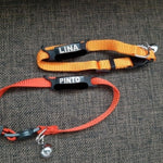 Personalized Cat Collar, Custom Pet Collars for Kittens, Boy Cat Collar, Girl Cat Collar,  Collar with Name, Breakaway Adjustable Strap