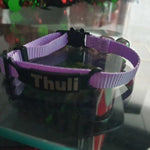 Personalized Cat Collar, Custom Pet Collars for Kittens, Boy Cat Collar, Girl Cat Collar,  Collar with Name, Breakaway Adjustable Strap