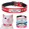 Custom Cat Collar, Personalized Pet Collars for Kittens, Diamond Collar with Name, Boy Girl Cat Collar, Breakaway Adjustable Strap