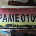 Custom License Plate Personalized Plate | Custom Car Tags with Text Picture Image | 6 x 12 Inch Personalized Aluminum Vanity License Plates