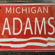 Custom License Plate Personalized Plate | Custom Car Tags with Text Picture Image | 6 x 12 Inch Personalized Aluminum Vanity License Plates