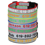Custom Dog Collar Embroidered Collar, Personalized with Pet Name Phone Number, Pet Collar, Personalized Dog Collar, Small Medium Large Dogs