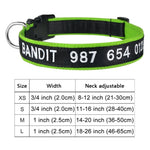 Personalized Collar, Custom Dog Collar Embroidered with Pet Name Phone Number, Pet Collar, Personalized Dog Collar, Small Medium Large Dogs