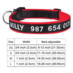 Personalized Collar, Custom Dog Collar Embroidered with Pet Name Phone Number, Pet Collar, Personalized Dog Collar, Small Medium Large Dogs