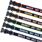 Personalized Collar, Custom Dog Collar Embroidered with Pet Name Phone Number, Pet Collar, Personalized Dog Collar, Small Medium Large Dogs