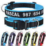 Personalized Collar, Custom Dog Collar Embroidered with Pet Name Phone Number, Pet Collar, Personalized Dog Collar, Small Medium Large Dogs