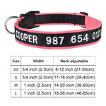 Personalized Collar, Custom Dog Collar Embroidered with Pet Name Phone Number, Pet Collar, Personalized Dog Collar, Small Medium Large Dogs