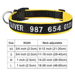 Personalized Collar, Custom Dog Collar Embroidered with Pet Name Phone Number, Pet Collar, Personalized Dog Collar, Small Medium Large Dogs