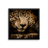 Jaguar Leopard Framed Wall Photo Art Decoration