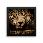 Jaguar Leopard Framed Wall Photo Art Decoration