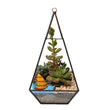 Lawn & Patio - LightningStore Bonsai Modern Glass Geometric Terrarium Pyramid Succulent Box Planter Flower Pot Eco Bottle Miniature Miero Landscape Vivaria Plants Pot