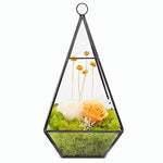 Lawn & Patio - LightningStore Bonsai Modern Glass Geometric Terrarium Pyramid Succulent Box Planter Flower Pot Eco Bottle Miniature Miero Landscape Vivaria Plants Pot
