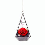 Lawn & Patio - LightningStore Bonsai Modern Glass Geometric Terrarium Pyramid Succulent Box Planter Flower Pot Eco Bottle Miniature Miero Landscape Vivaria Plants Pot
