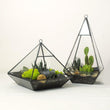 Lawn & Patio - LightningStore Bonsai Modern Glass Geometric Terrarium Pyramid Succulent Box Planter Flower Pot Eco Bottle Miniature Miero Landscape Vivaria Plants Pot