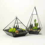 Lawn & Patio - LightningStore Bonsai Modern Glass Geometric Terrarium Pyramid Succulent Box Planter Flower Pot Eco Bottle Miniature Miero Landscape Vivaria Plants Pot