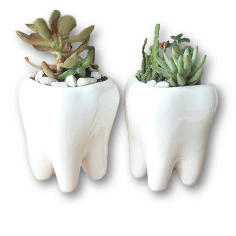 Lawn & Patio - LightningStore Ceramic White Tooth Teeth Succulent Plants Pot Microlandschaft Personalized Office House Balcony Landscape Pot Creative Decorative Flower Pots