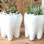 Lawn & Patio - LightningStore Ceramic White Tooth Teeth Succulent Plants Pot Microlandschaft Personalized Office House Balcony Landscape Pot Creative Decorative Flower Pots