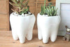 Lawn & Patio - LightningStore Ceramic White Tooth Teeth Succulent Plants Pot Microlandschaft Personalized Office House Balcony Landscape Pot Creative Decorative Flower Pots