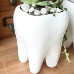 Lawn & Patio - LightningStore Ceramic White Tooth Teeth Succulent Plants Pot Microlandschaft Personalized Office House Balcony Landscape Pot Creative Decorative Flower Pots