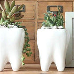 Lawn & Patio - LightningStore Ceramic White Tooth Teeth Succulent Plants Pot Microlandschaft Personalized Office House Balcony Landscape Pot Creative Decorative Flower Pots