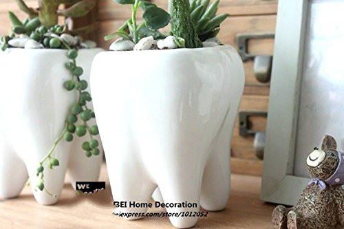 tooth plant pot LightningStore Ceramic White Tooth Teeth Succulent Plants Pot Microlan