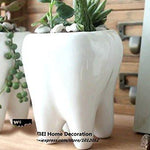 Lawn & Patio - LightningStore Ceramic White Tooth Teeth Succulent Plants Pot Microlandschaft Personalized Office House Balcony Landscape Pot Creative Decorative Flower Pots